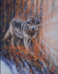 (image for) Edge of the Wild